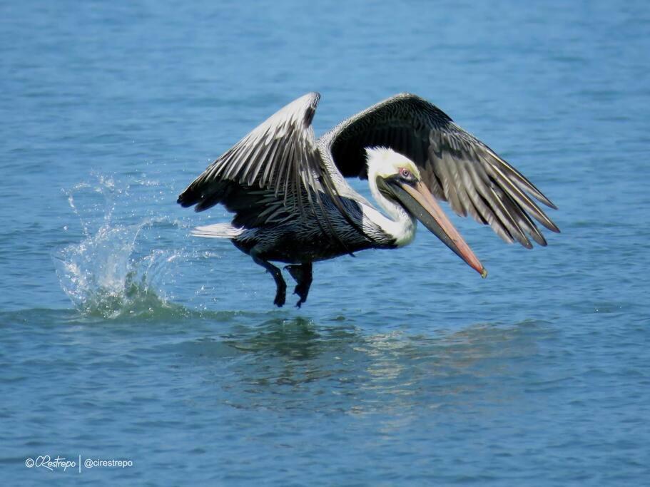 Photo of Others in San Onofre