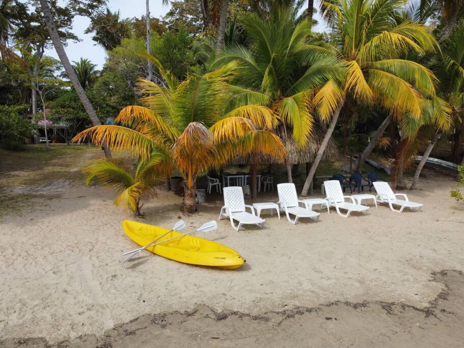 Photo of Others in San Onofre