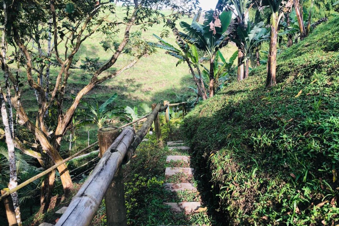 Photo of Outdoor in Filandia
