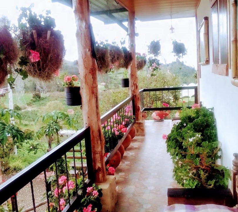 Photo of Others in Jenesano