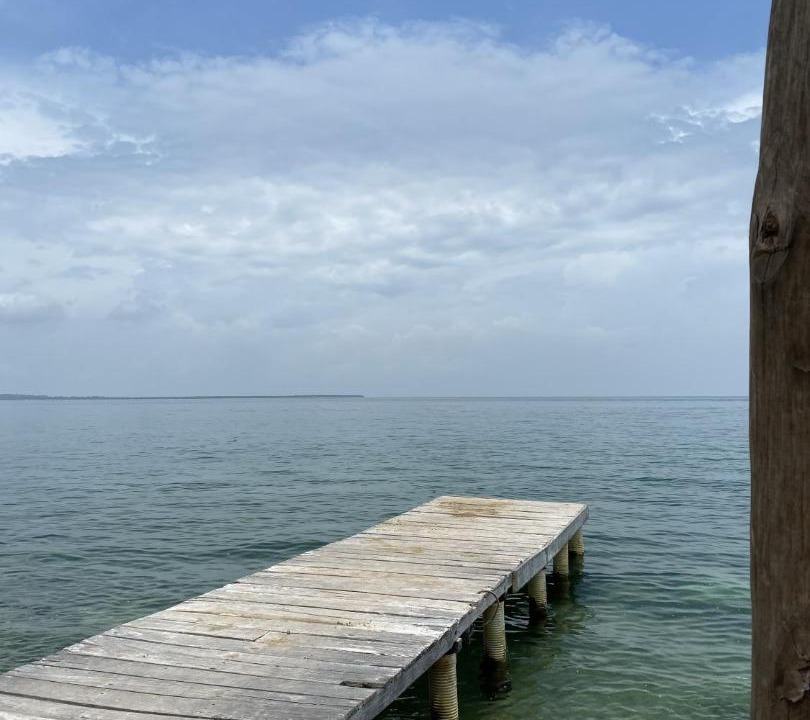 Photo of Others in Rosario Islands