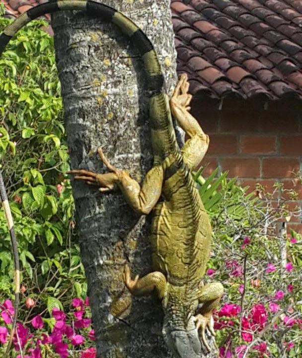 Photo of Others in Puerto Triunfo