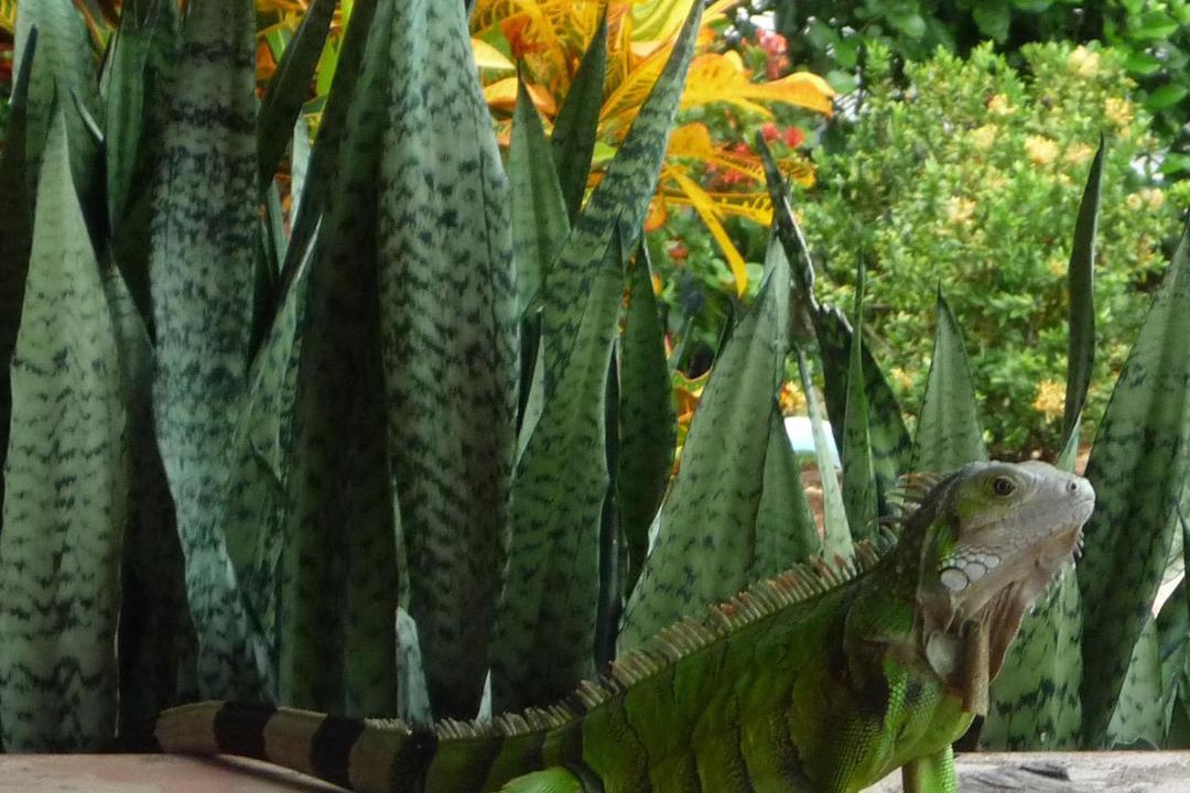 Photo of Others in Puerto Triunfo