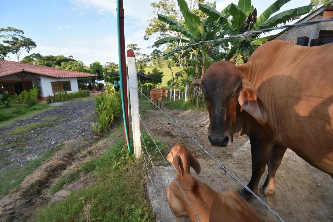 Photo of Others in Puerto Boyaca