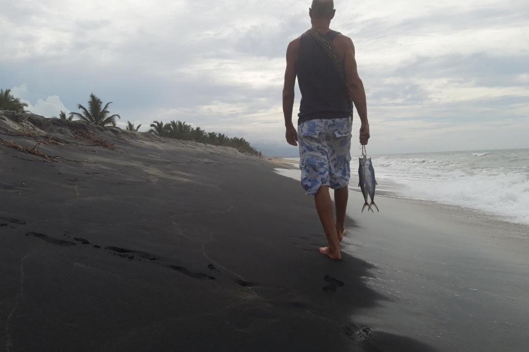 Photo of Others in Palomino
