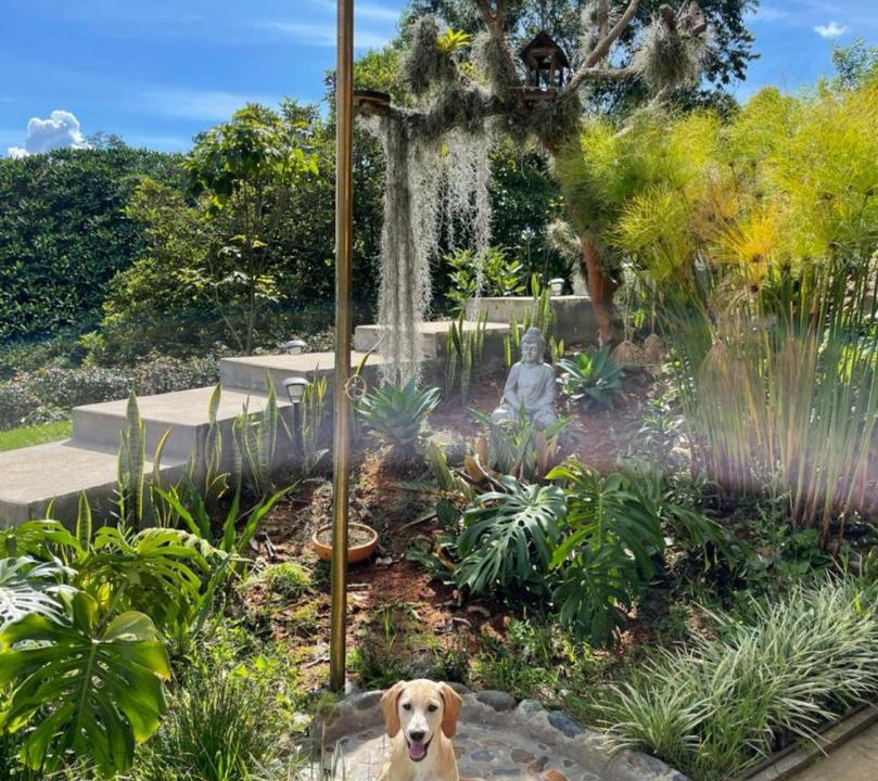 Photo of Others in Jardin