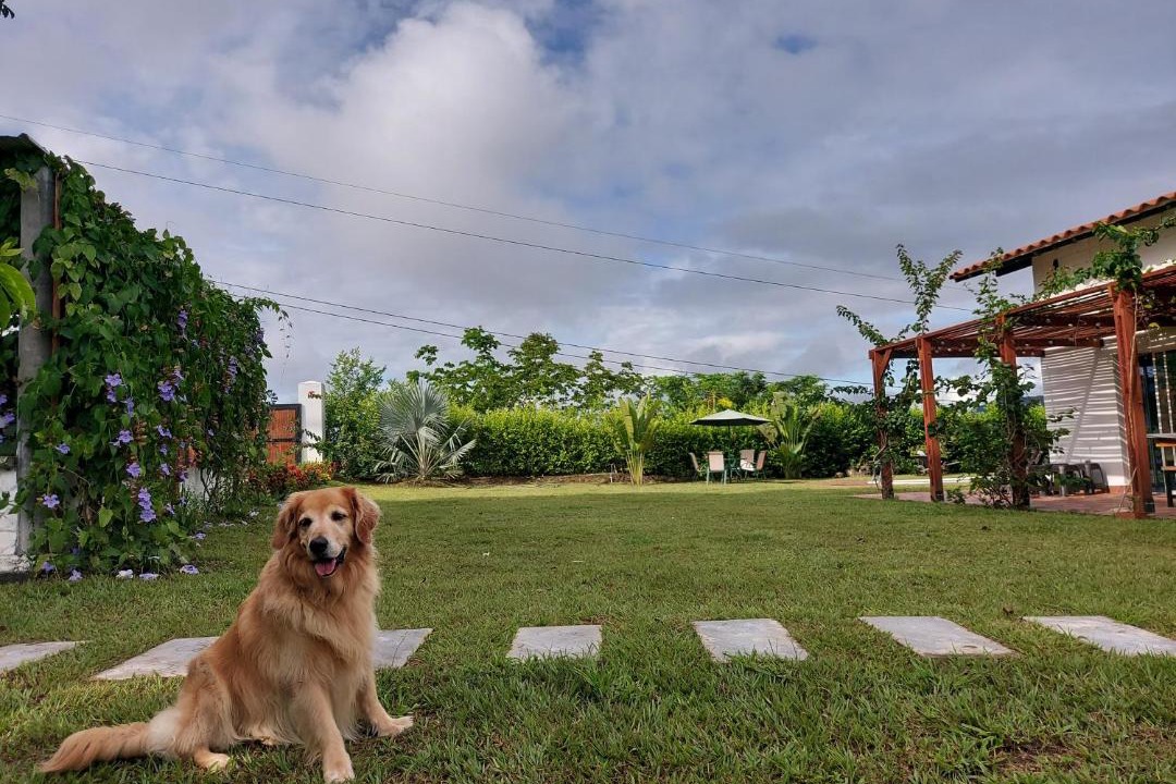 Photo of Others in Sopetran