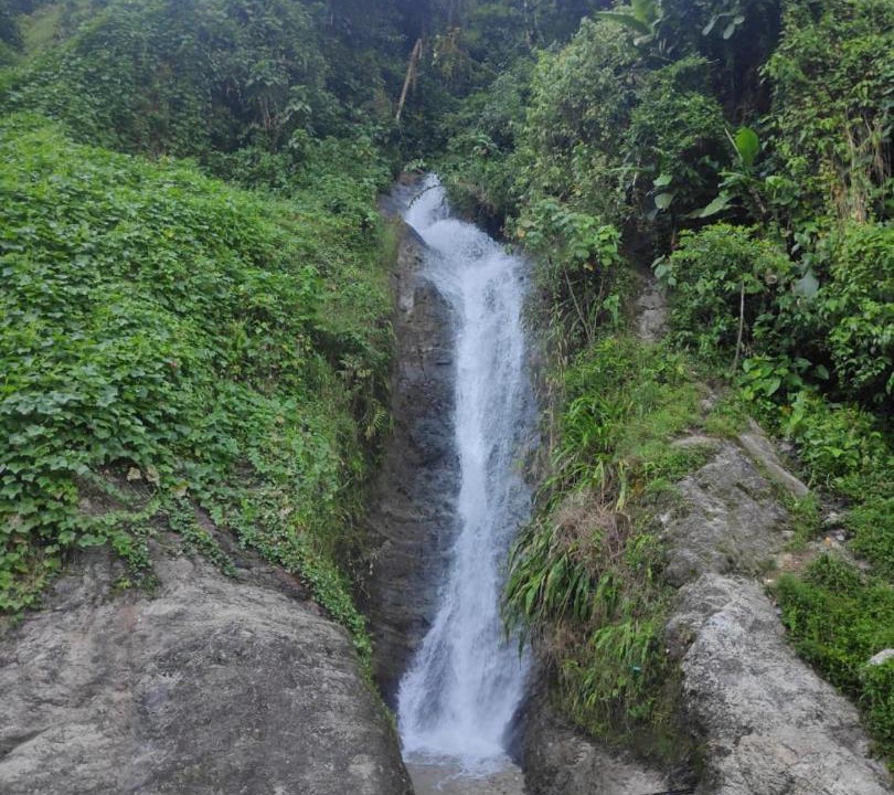 Photo of Others in Ibague