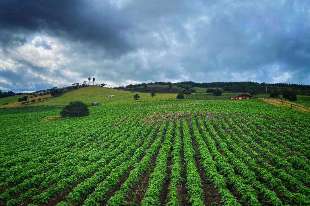Photo of Others in Cundinamarca