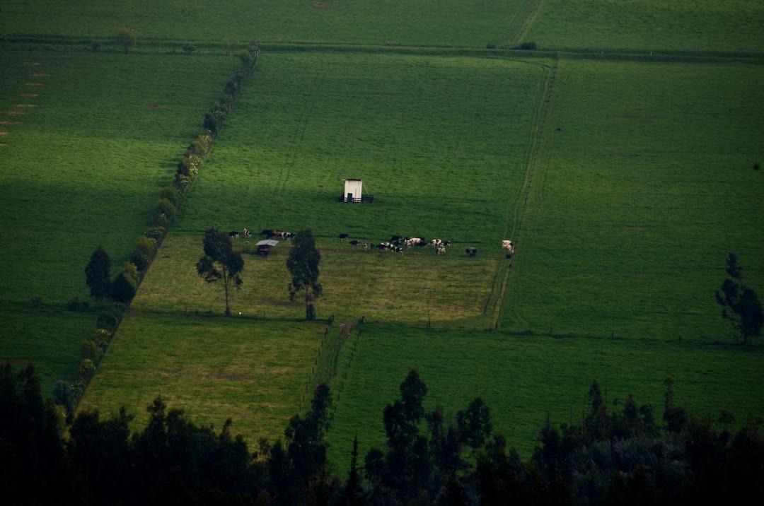 Photo of Others in Cundinamarca