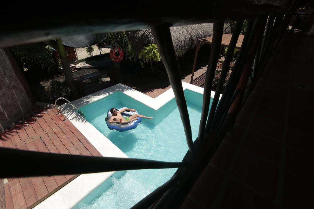 Photo of Others in Palomino