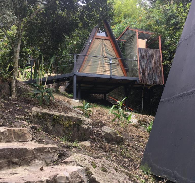 Photo of Others in Bogota