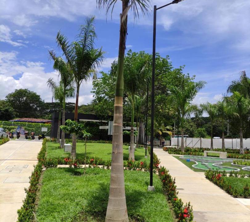 Photo of Others in Zona Colonial