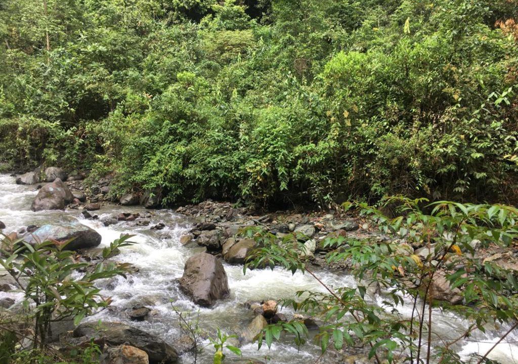 Photo of Others in Ibague