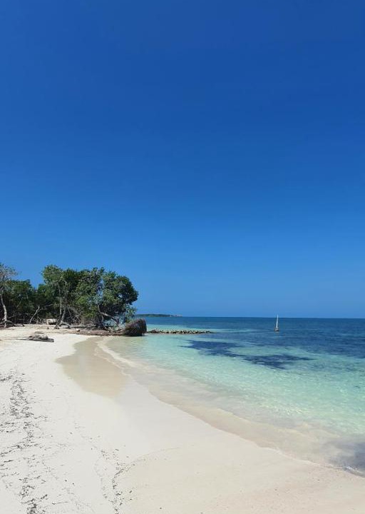 Photo of Others in Isla Tintipan