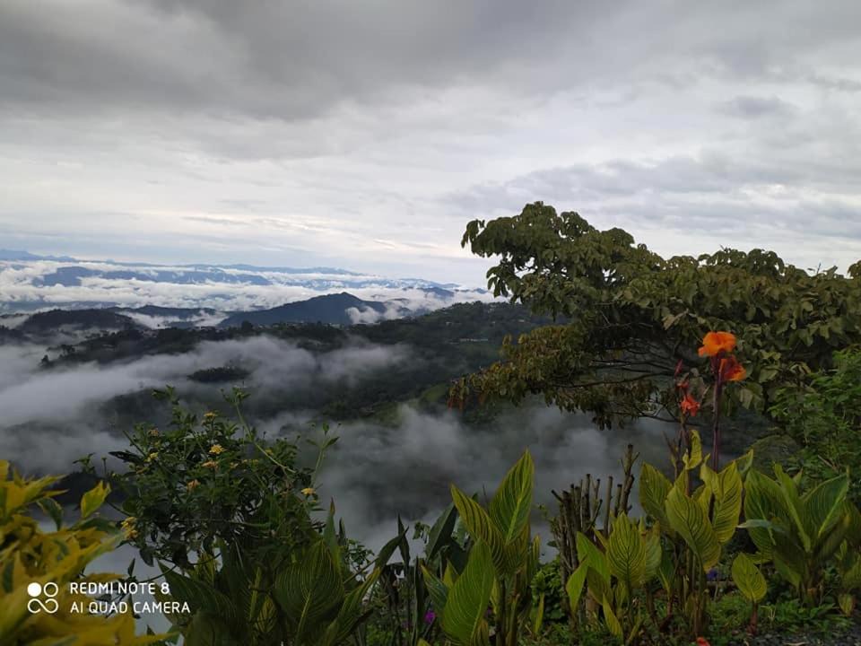 Photo of Others in Manizales