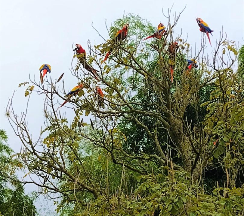 Photo of Others in Pereira