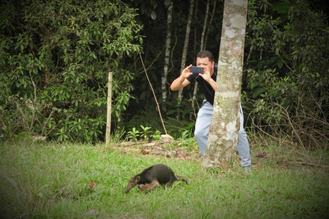 Photo of Others in Mocoa