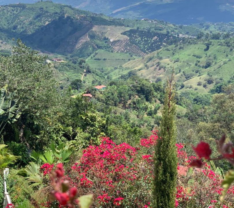 Photo of Others in Manizales