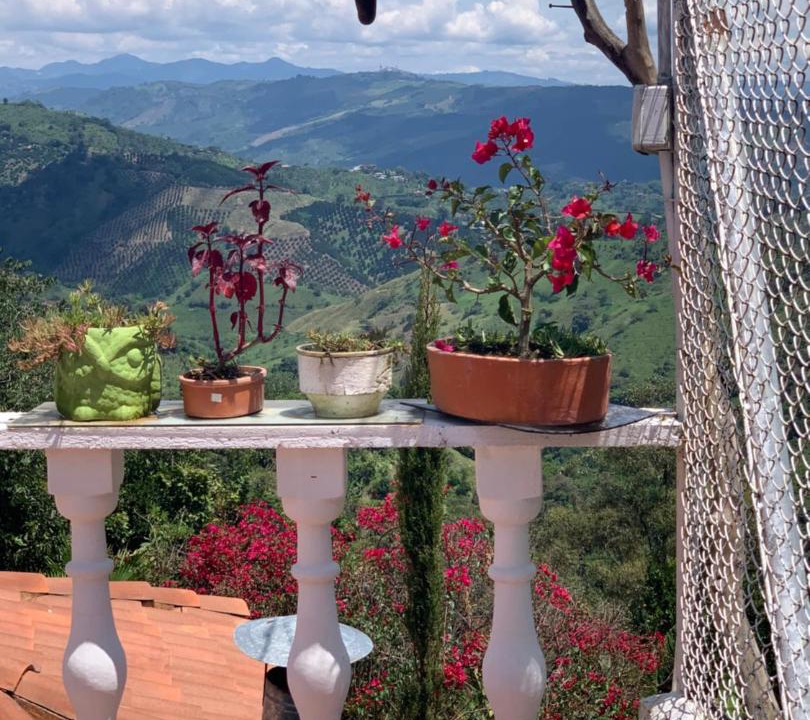 Photo of Others in Manizales