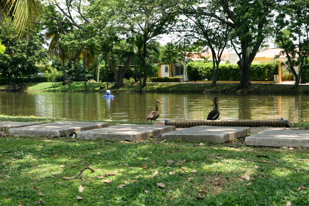 Photo of Others in Girardot