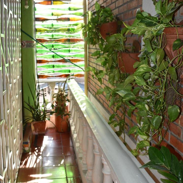Photo of Others in San Sebastian de Mariquita