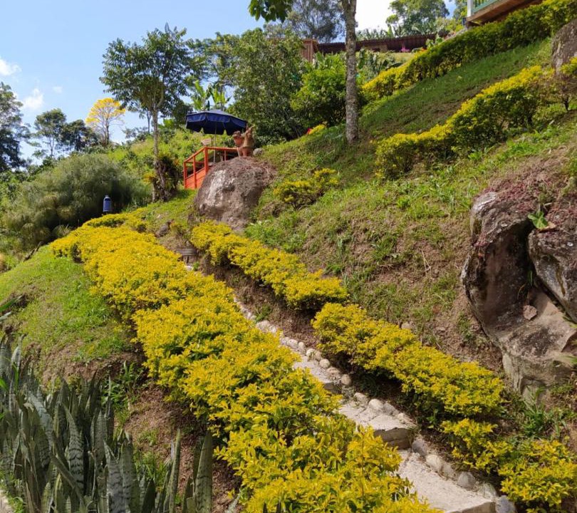 Photo of Others in Jardin