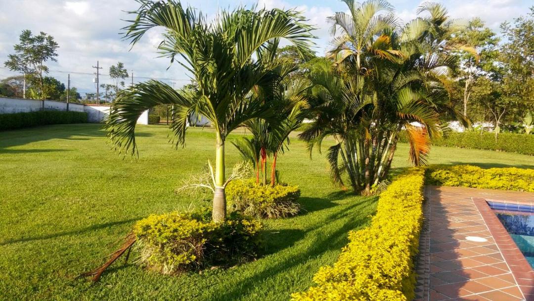 Photo of Others in Villavicencio