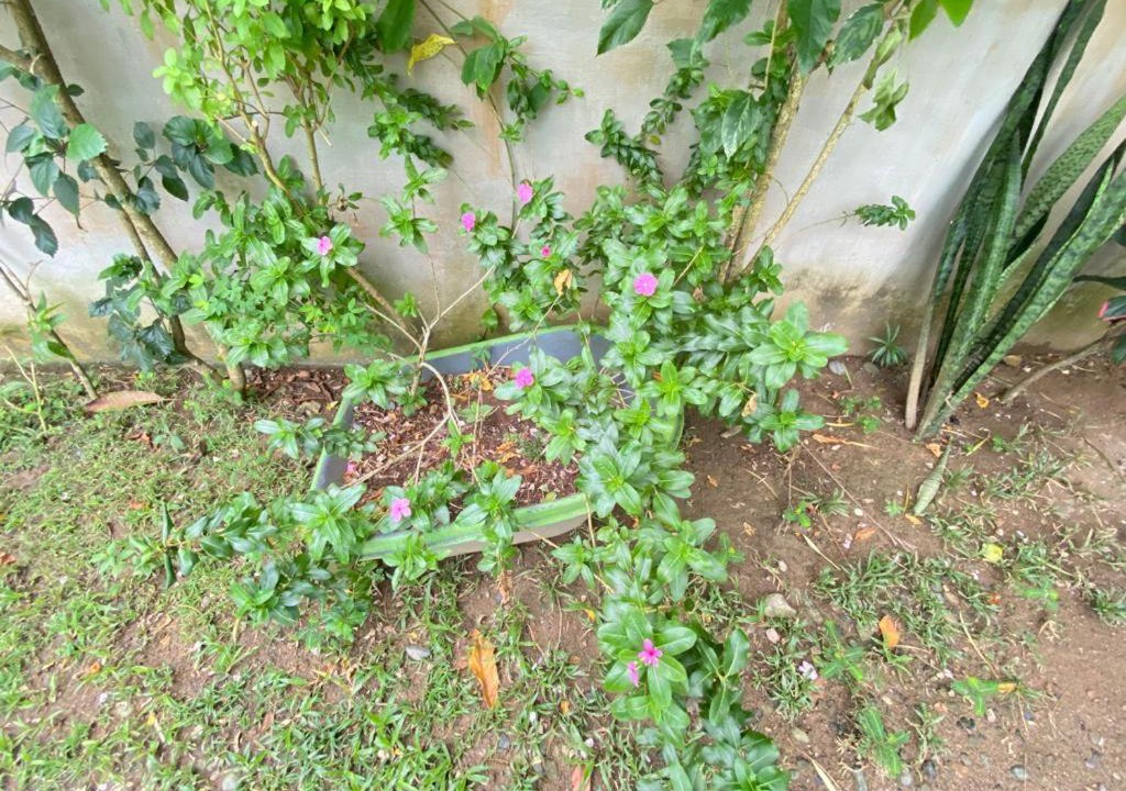 Photo of Others in Capurgana