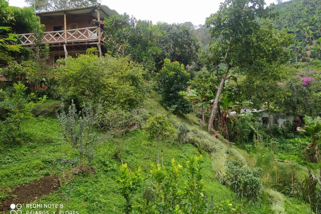 Photo of Others in Andes