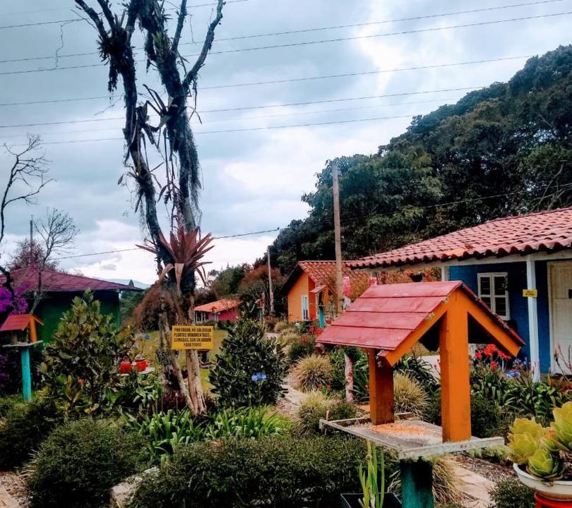 Photo of Others in Medellin
