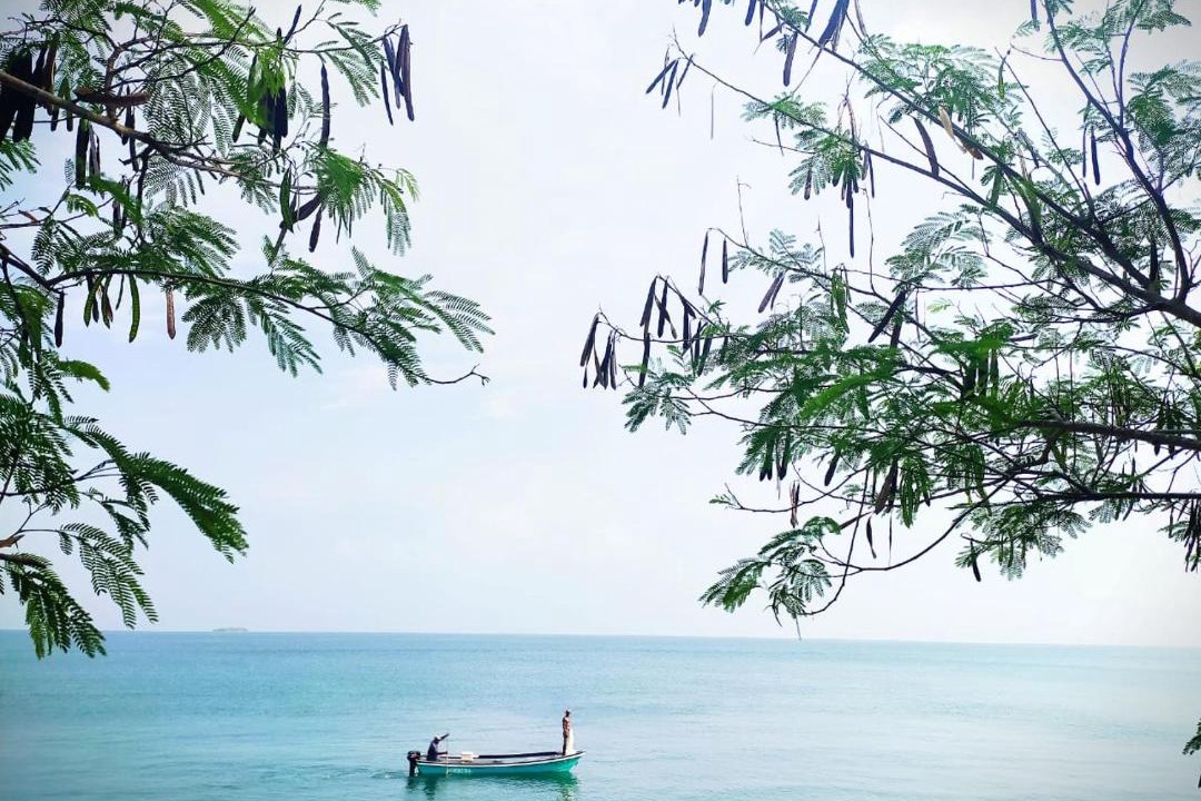 Photo of Others in Rosario Islands