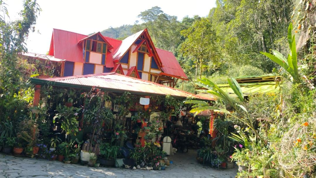 Photo of Others in Ibague