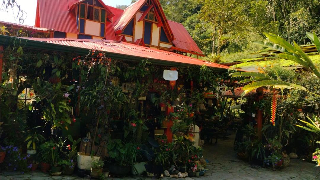 Photo of Others in Ibague