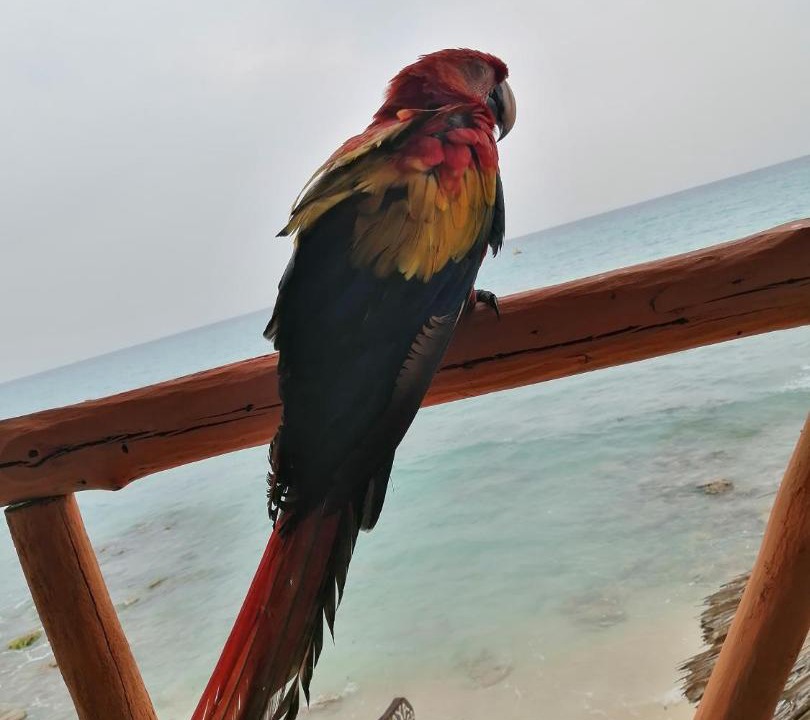 Photo of Others in Bocachica