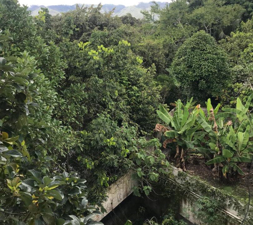 Photo of Others in Guaduas