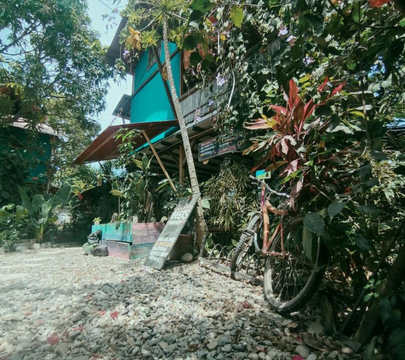 Photo of Others in Palomino