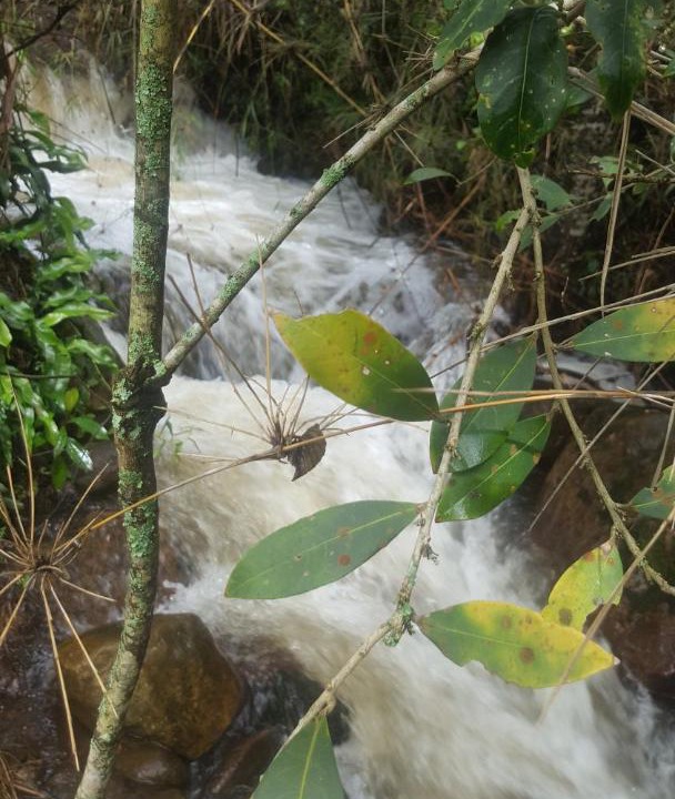 Photo of Others in Duitama