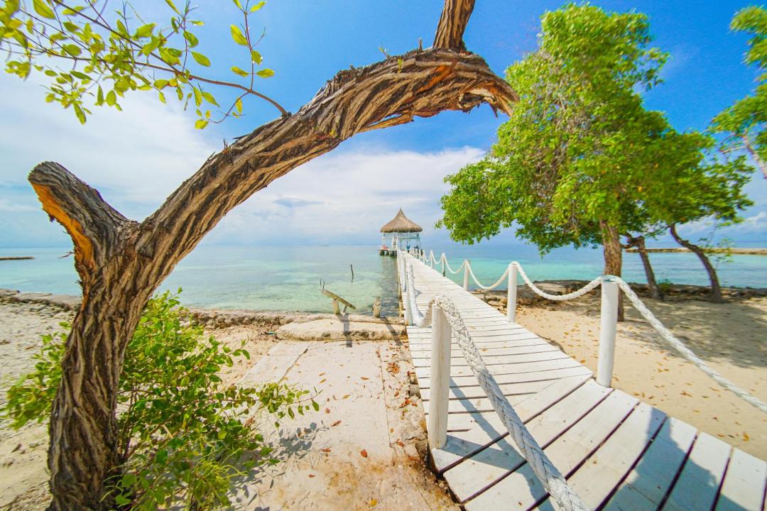 Photo of Others in Isla Tintipan