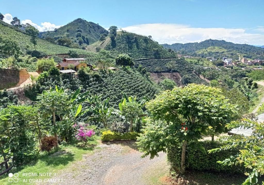 Photo of Others in Andes