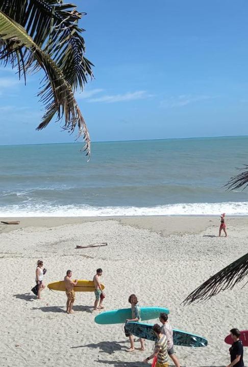 Photo of Others in Palomino
