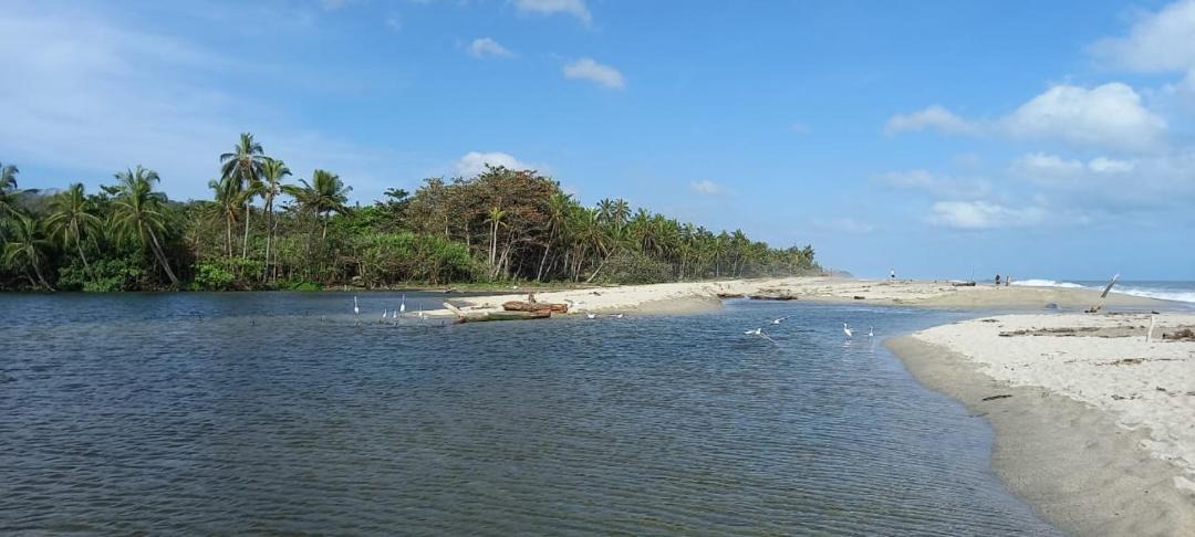 Photo of Others in Palomino