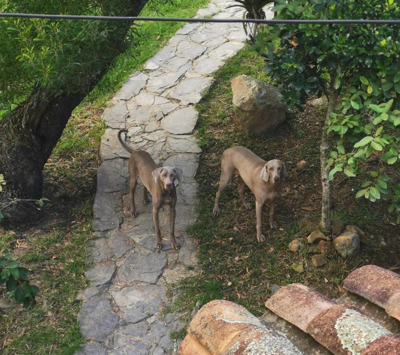 Photo of Others in Villa de Leyva