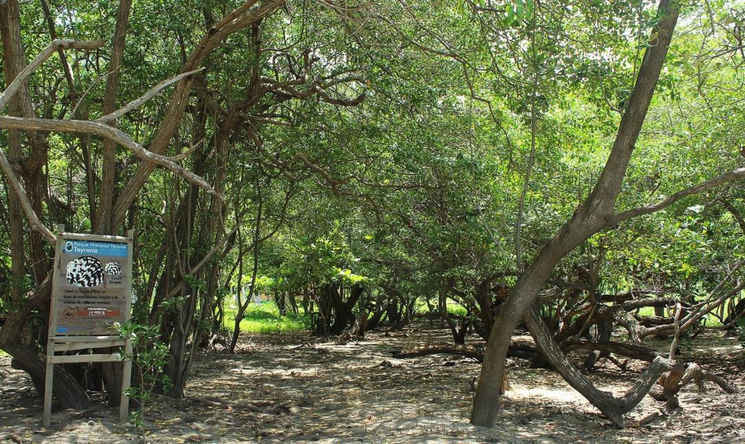 Photo of Others in Santa Marta