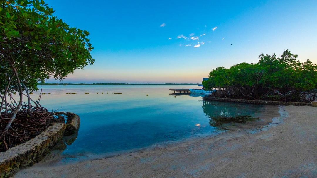 Photo of Others in Bocachica