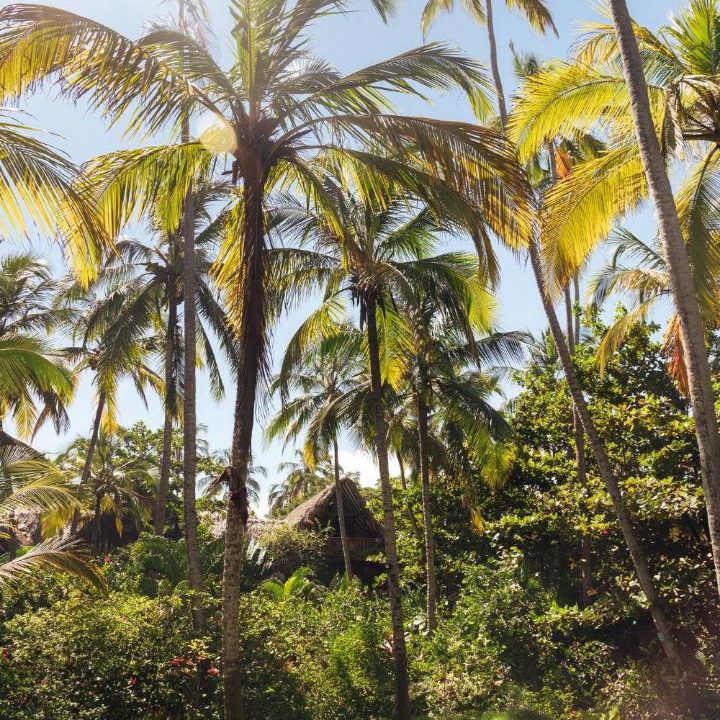 Photo of Others in Guachaca