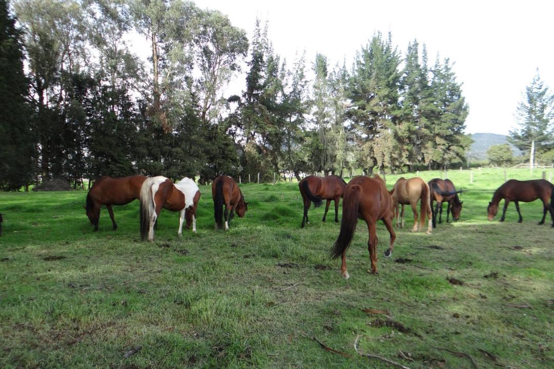 Photo of Others in Tabio