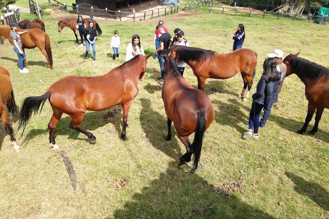 Photo of Others in Tabio