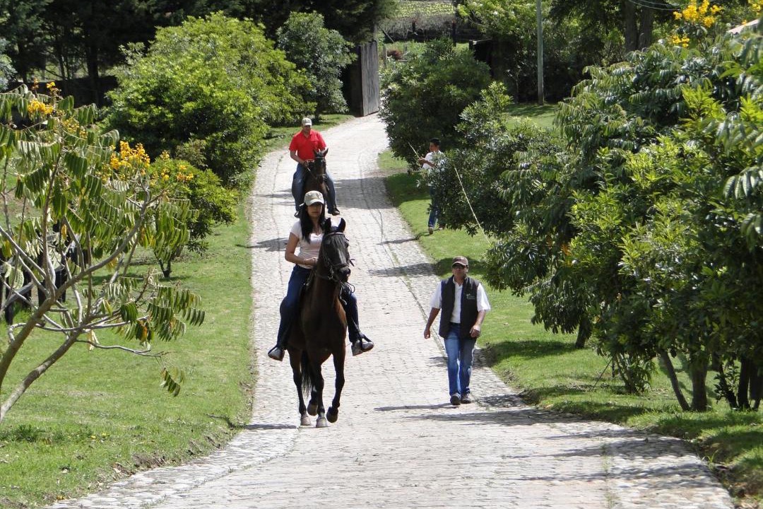 Photo of Others in Tabio