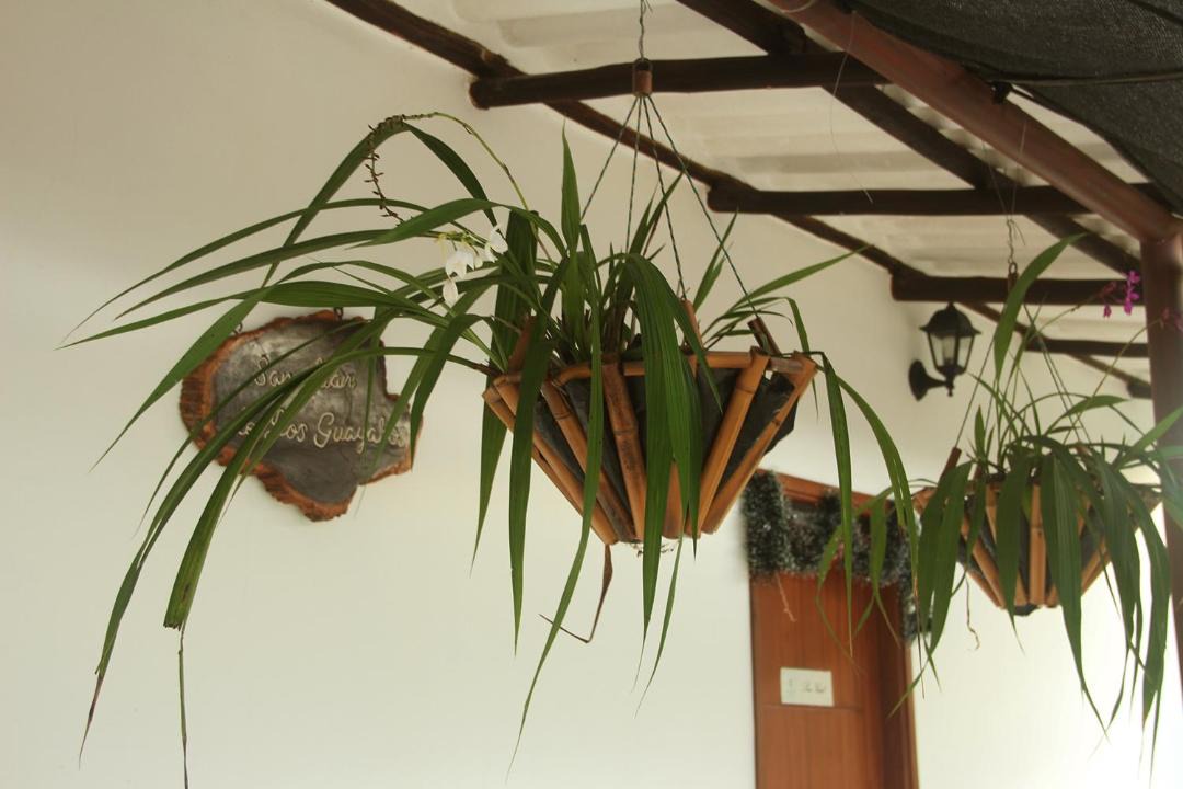 Photo of Others in Guaduas